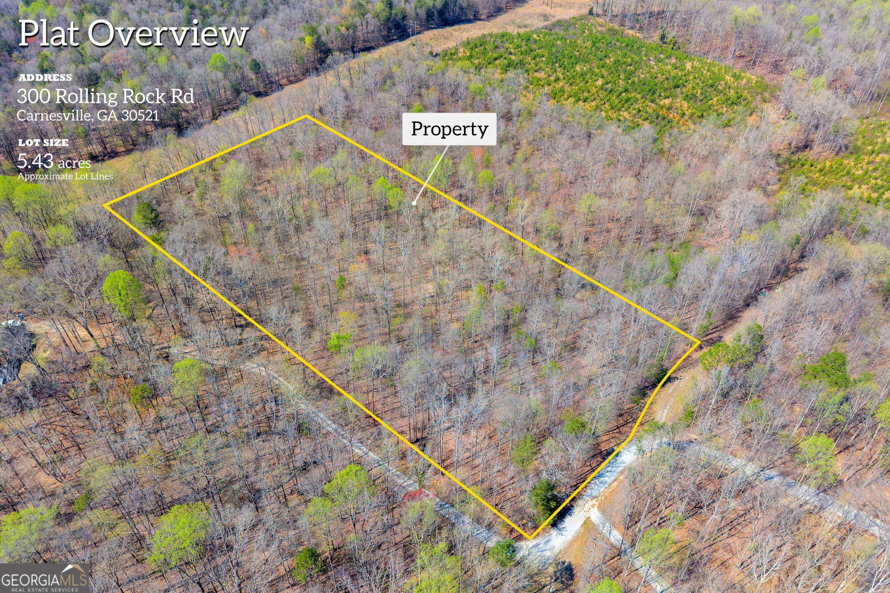 0 Rolling Rock Road Carnesville, GA 30521 - Photo 1 of 4