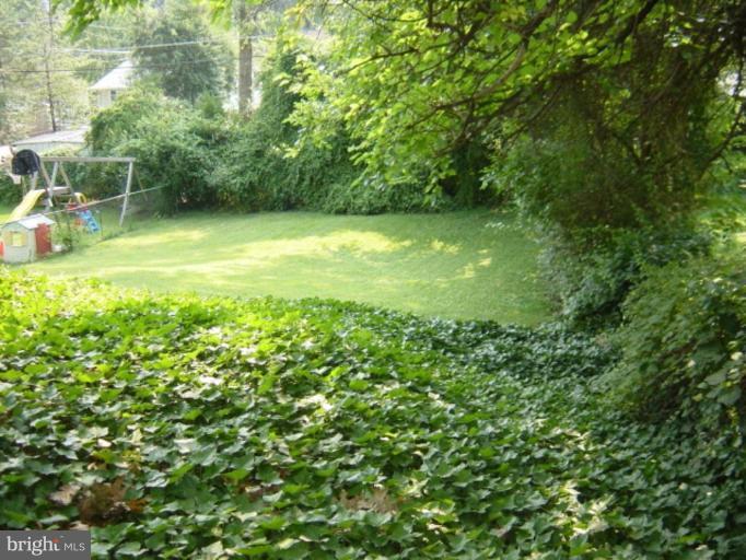 6508 Banbury Road Baltimore, MD 21239 - Photo 20 of 26 a view of a green yard with a house and large trees
