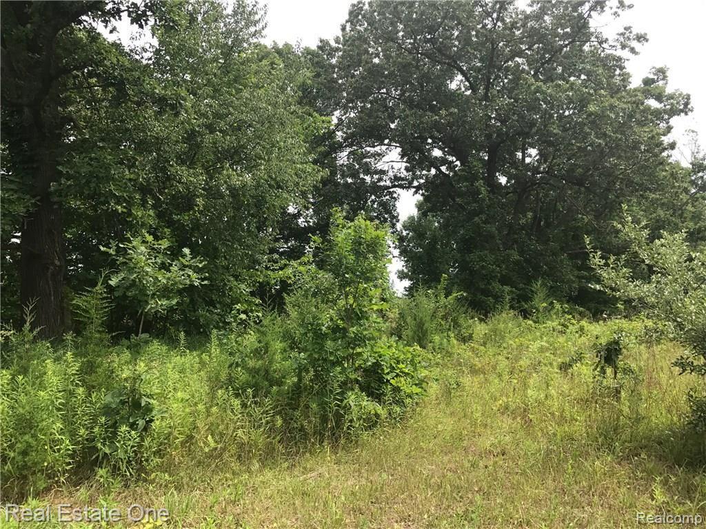 P-i South Bull Run Road Fowlerville, MI 48836 - Photo 10 of 14