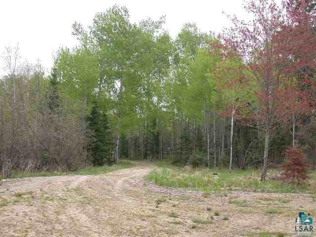 10133 Moose Lake Road Orr, MN 55771 - Photo 4 of 5 Gallery Image 4