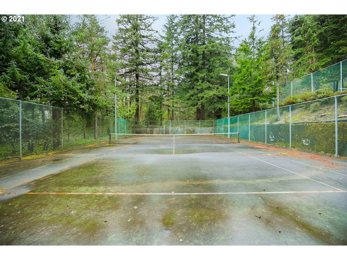 7748 Southwest Barnes Road, Unit G Portland, OR 97225 - Photo 23 of 25 Gallery Image 23