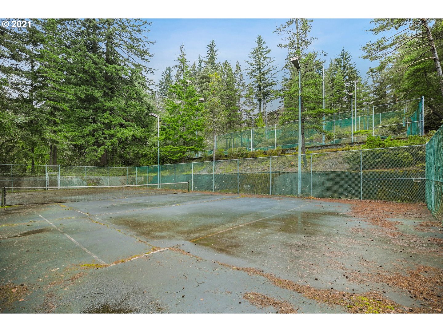 7748 Southwest Barnes Road, Unit G Portland, OR 97225 - Photo 24 of 25 Gallery Image 24