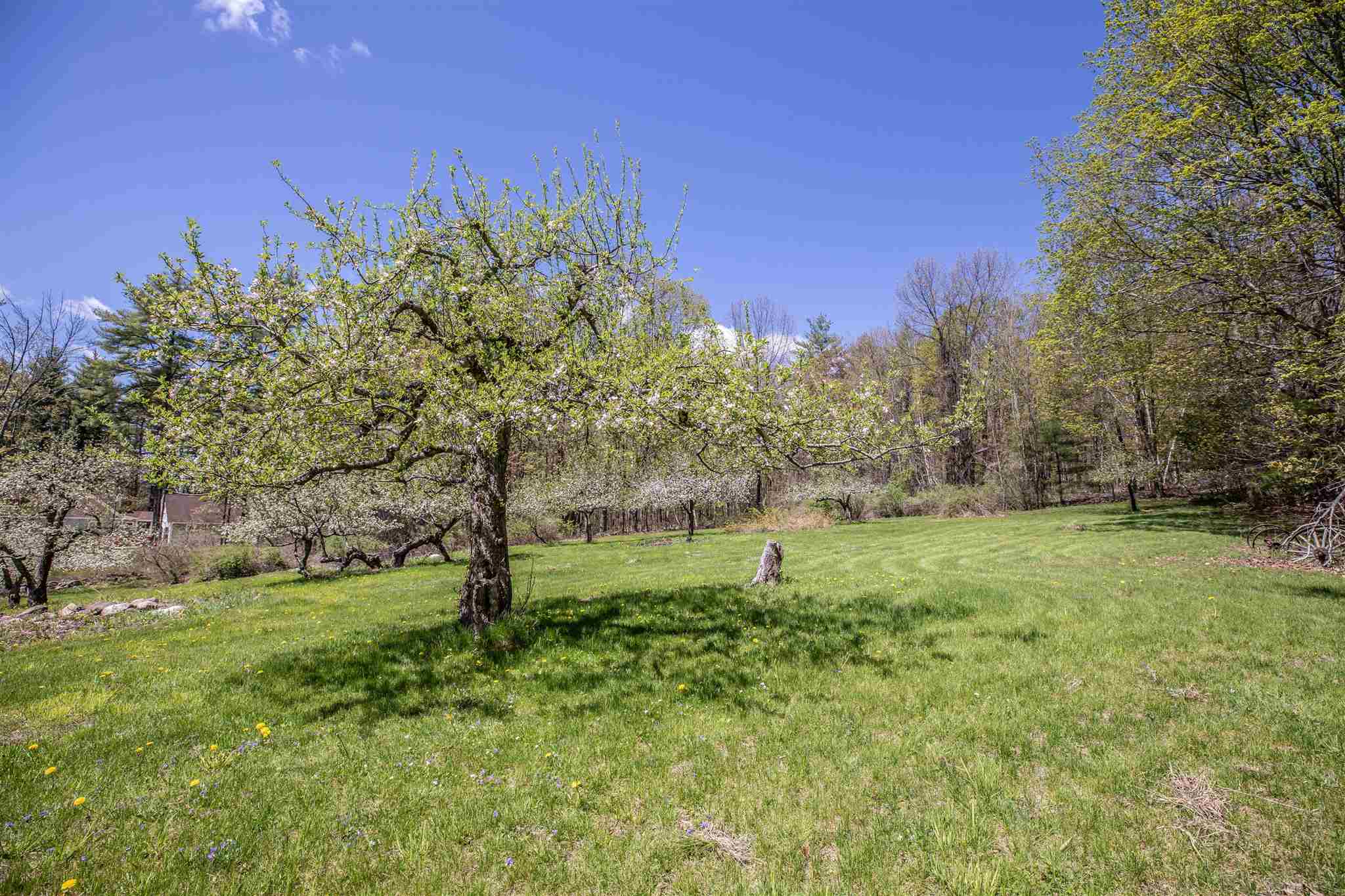 184 Curtis Farm Road Wilton, NH 03086 - Photo 31 of 40