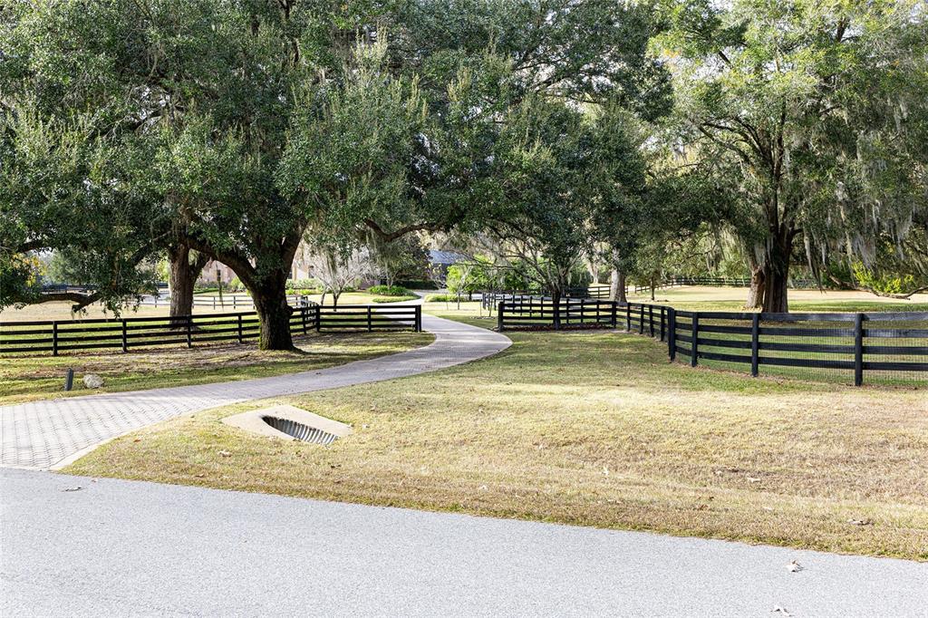 2150 Southeast 73rd Loop Ocala, FL 34480 - Photo 2 of 66