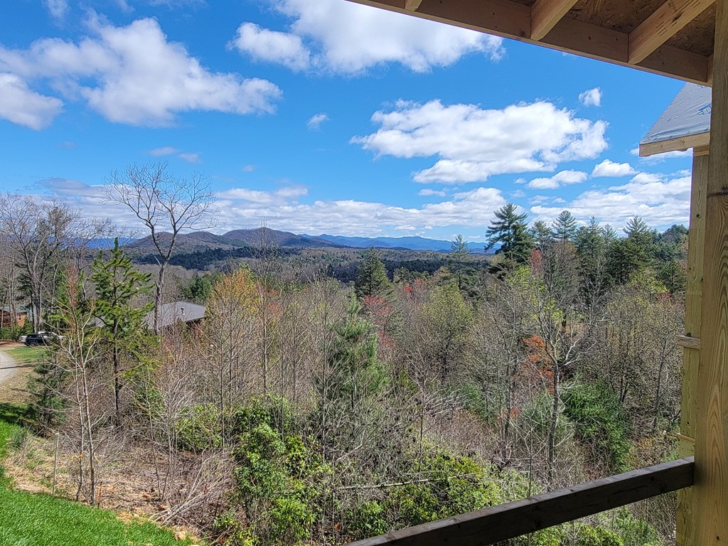 455 Point Overlook Trail Murphy, NC 28906 - Photo 27 of 47