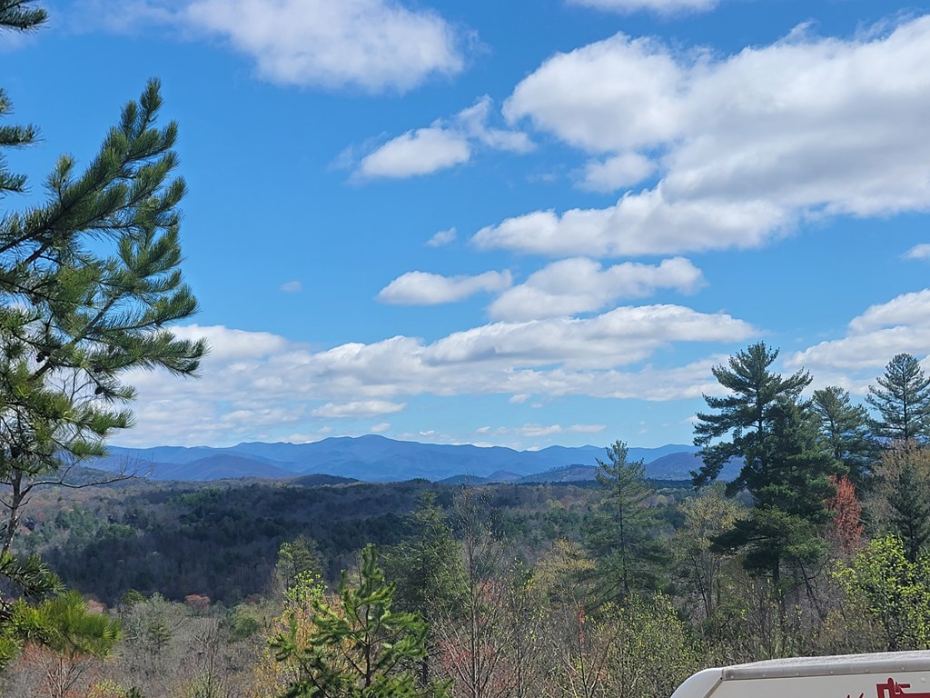 455 Point Overlook Trail Murphy, NC 28906 - Photo 3 of 47