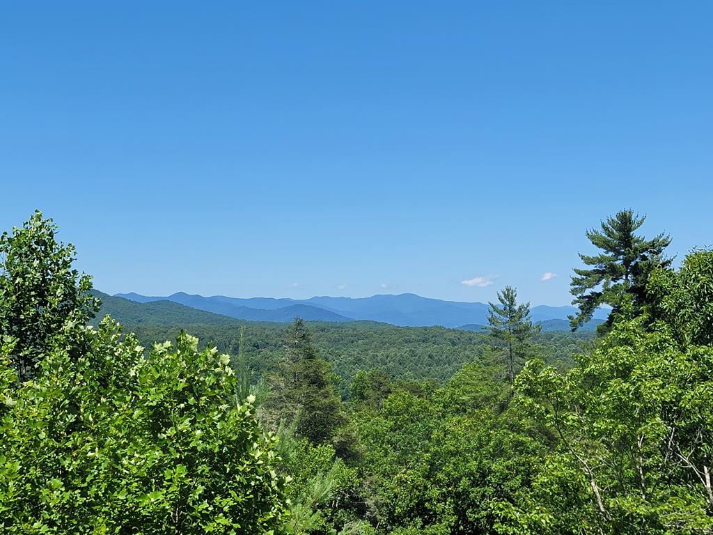 455 Point Overlook Trail Murphy, NC 28906 - Photo 36 of 47