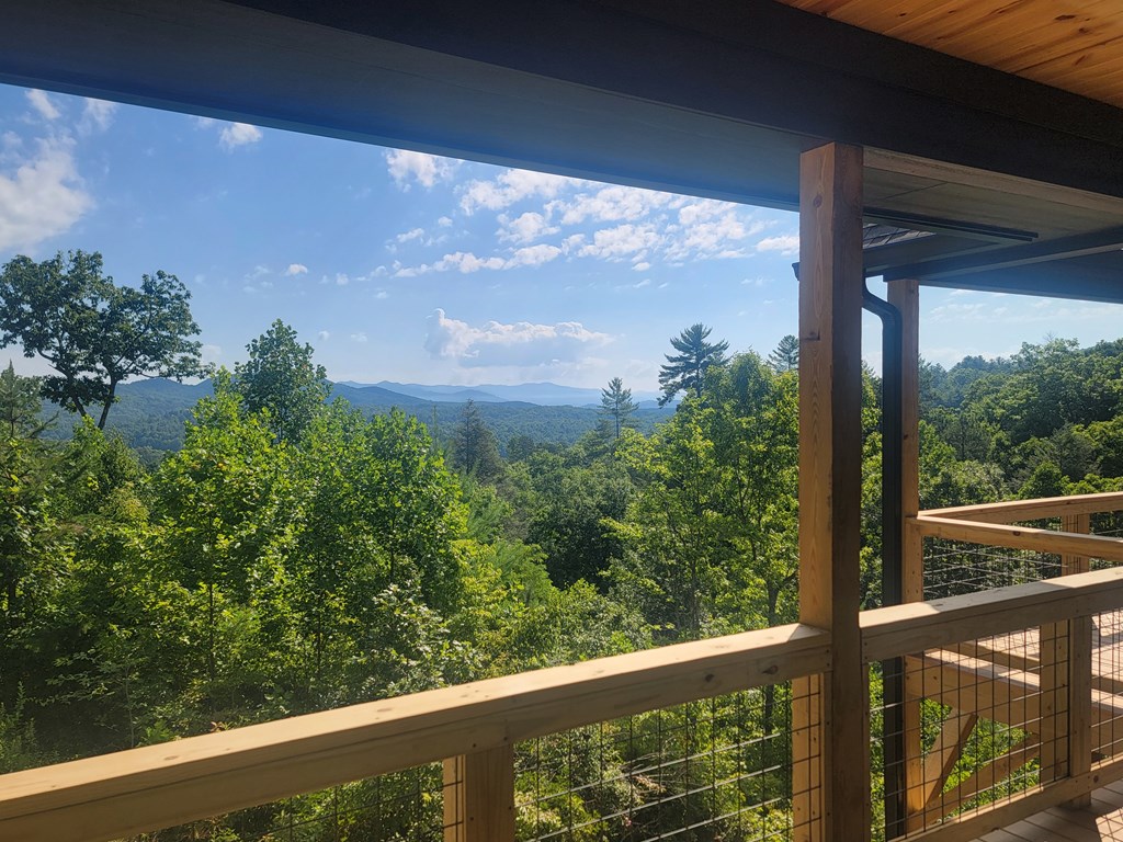 455 Point Overlook Trail Murphy, NC 28906 - Photo 45 of 47