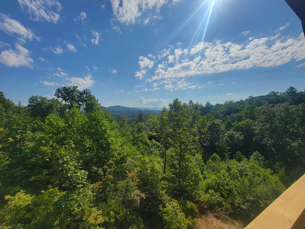 455 Point Overlook Trail Murphy, NC 28906 - Photo 46 of 47