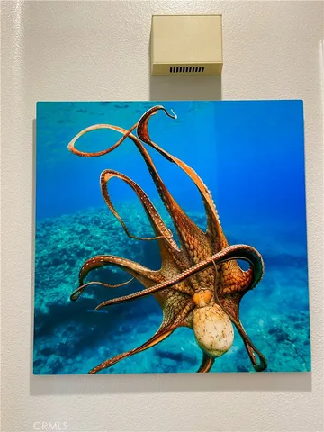 a view of backyard with wooden floor