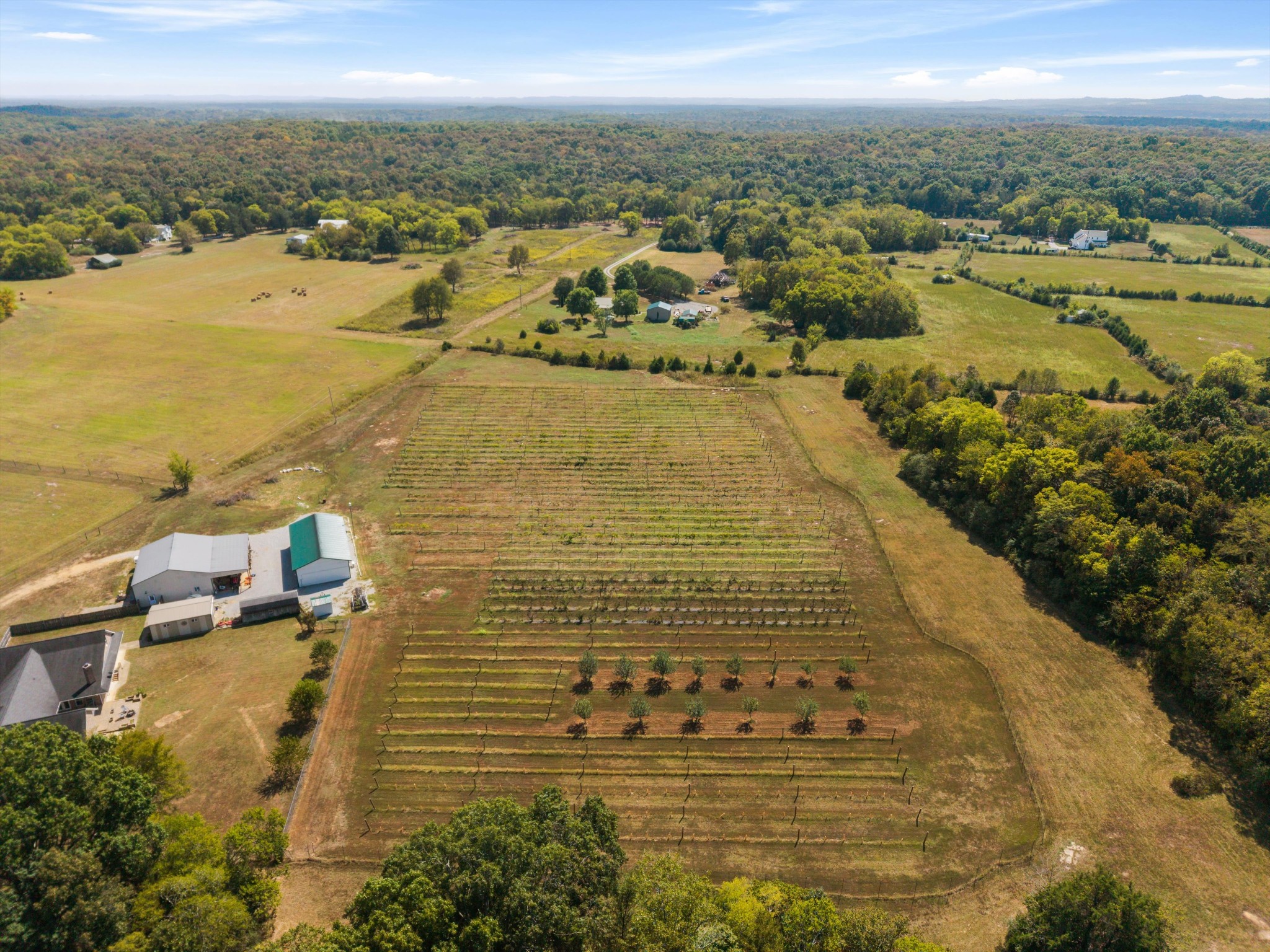 3595 Clark Road Lewisburg, TN 37091 - Photo 67 of 88 Gallery Image 67