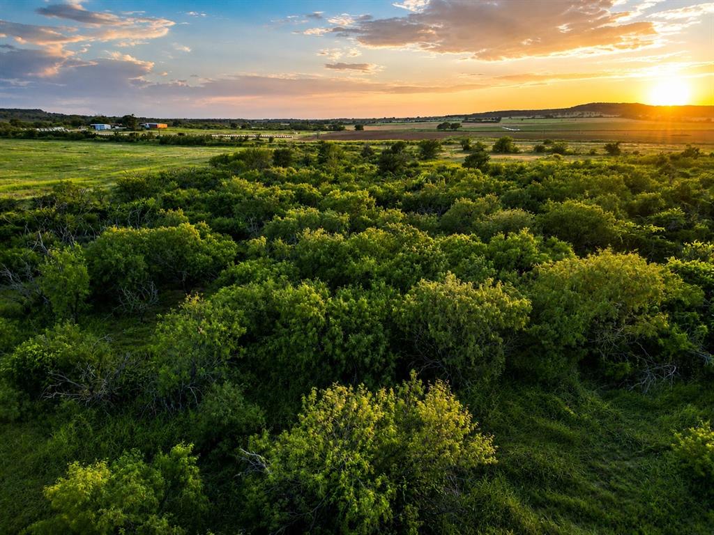 1448 County Road 129 Rising Star, TX 76471 - Photo 1 of 31 Gallery Image 1