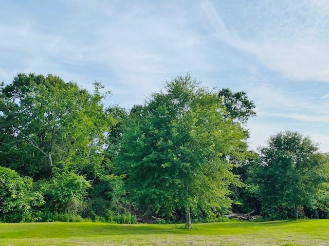 369 Stovall Road Kokomo, MS 39643 - Photo 51 of 58 Photo 51