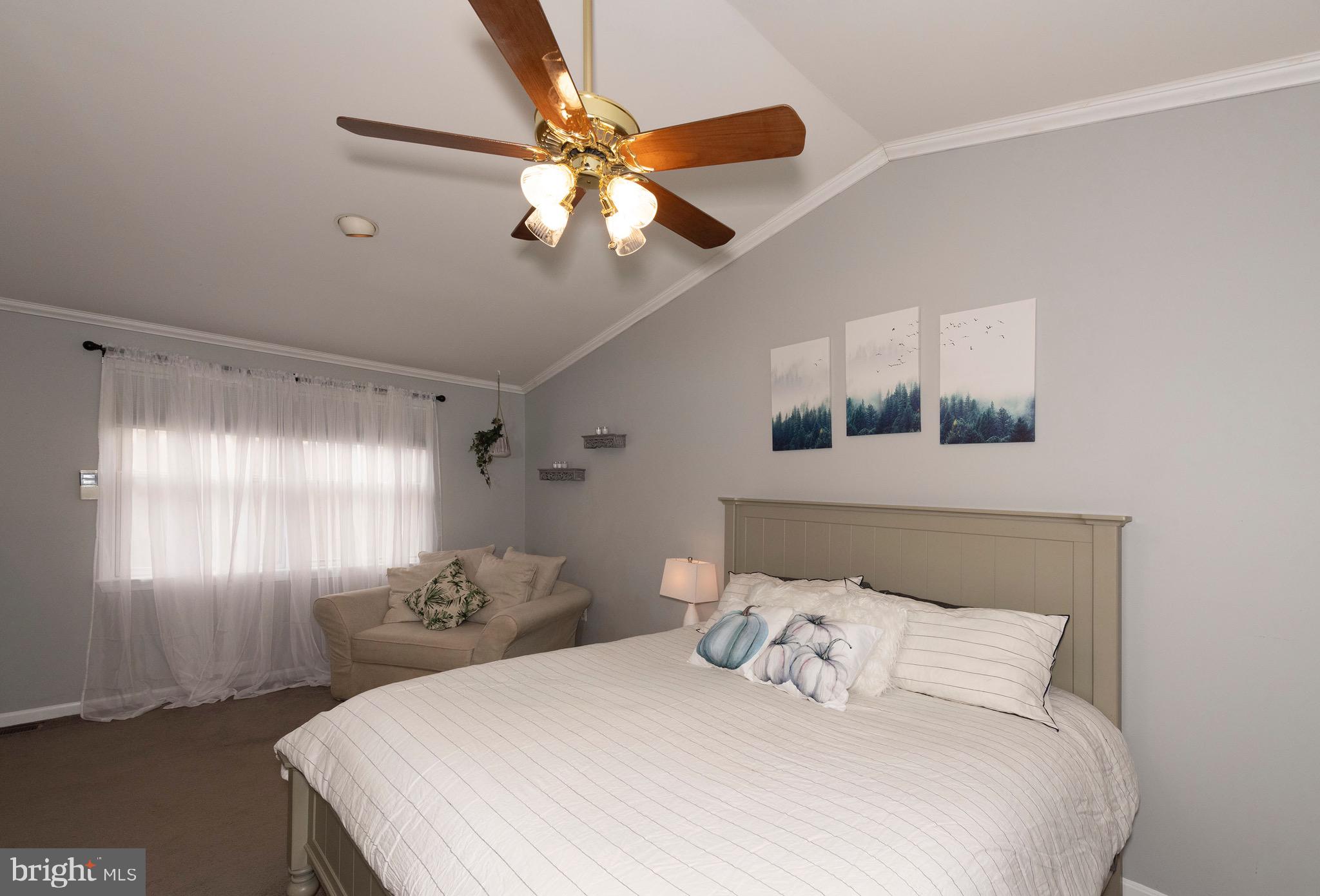 4125 Spring View Drive Jefferson, MD 21755 - Photo 19 of 58 Owners Suite / Cathedral Ceilings