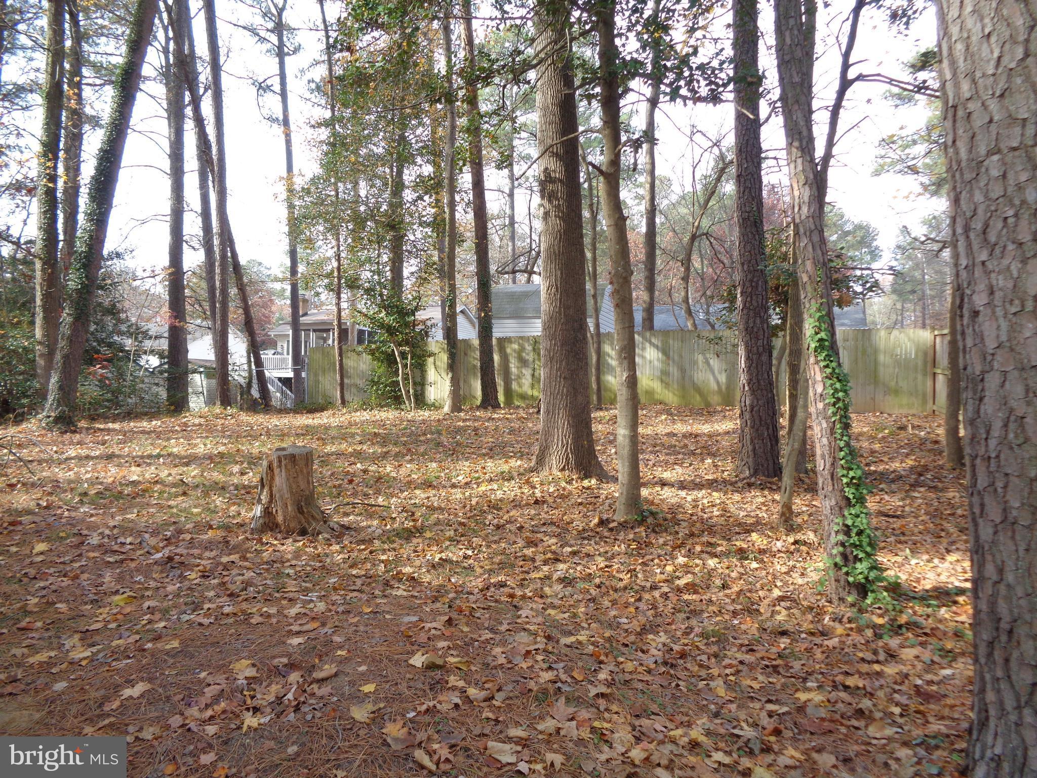 11679 Big Sandy Run Road Lusby, MD 20657 - Photo 25 of 27 Back Yard