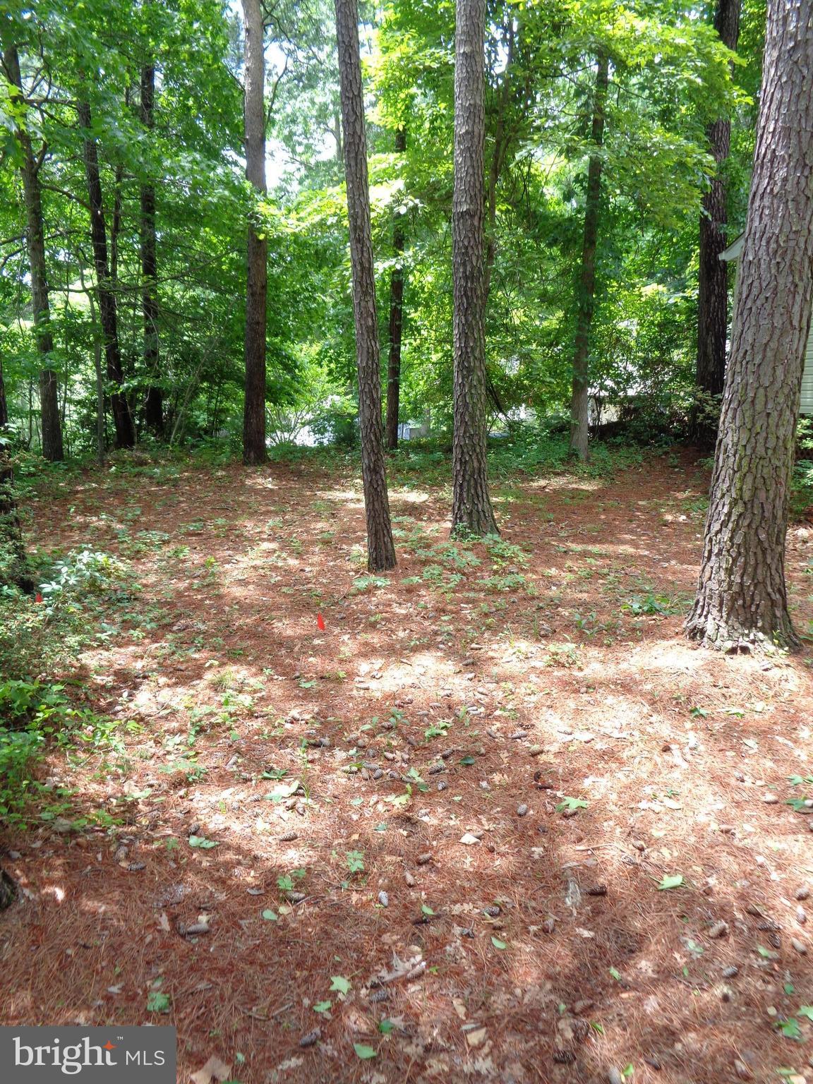 11679 Big Sandy Run Road Lusby, MD 20657 - Photo 26 of 27 Front Yard