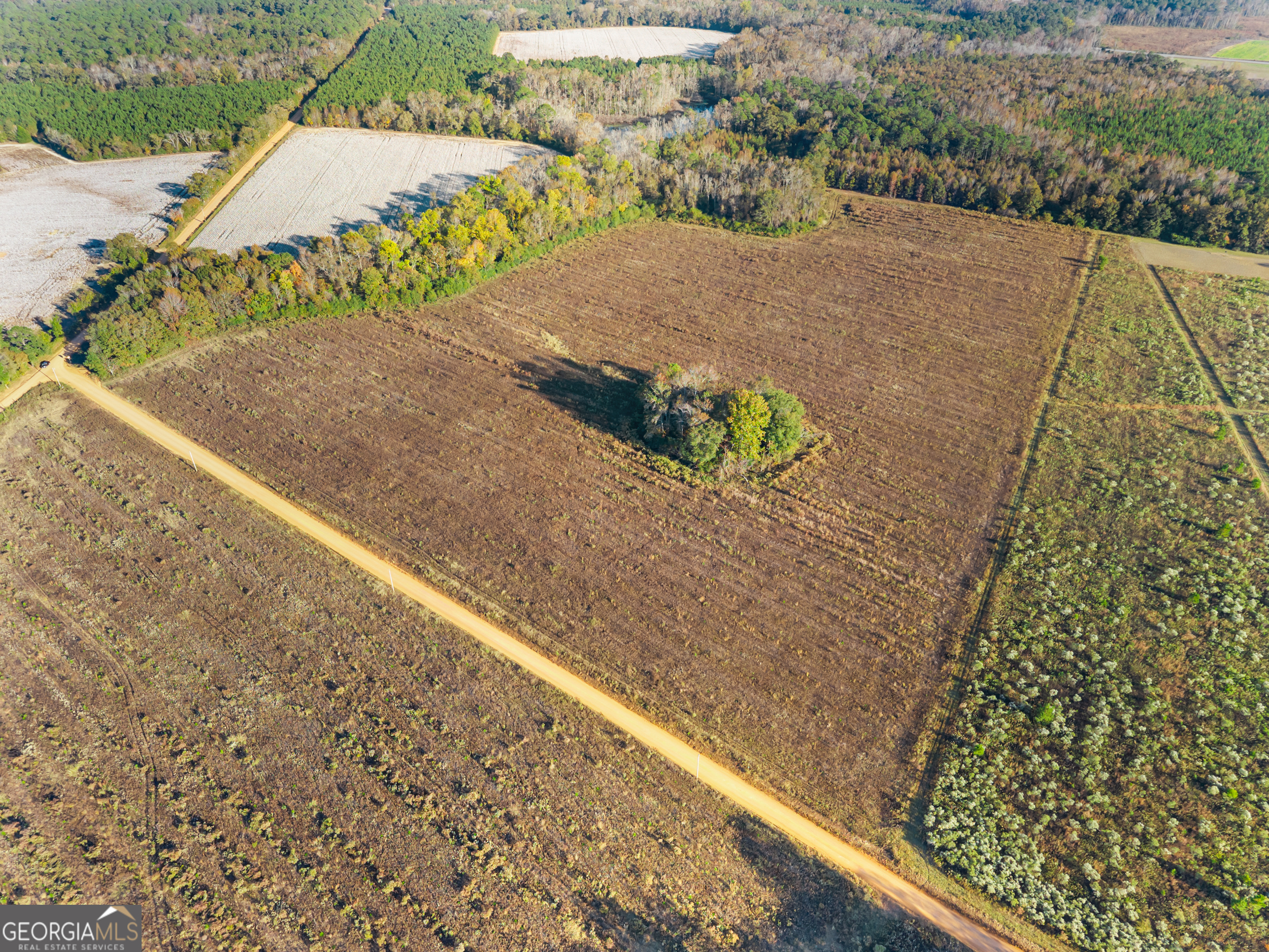 0 Waters Lane, Unit LOT 3 Claxton, GA 30417 - Photo 13 of 14