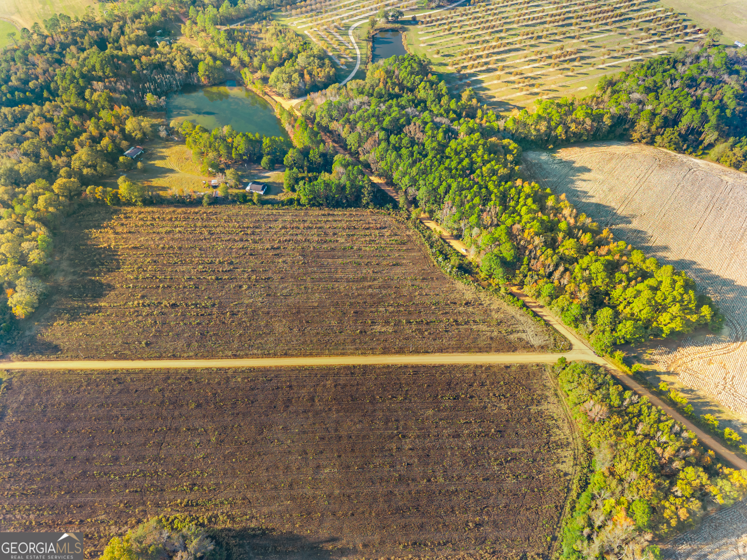 0 Waters Lane, Unit LOT 3 Claxton, GA 30417 - Photo 9 of 14 a view of a swimming pool with an outdoor space