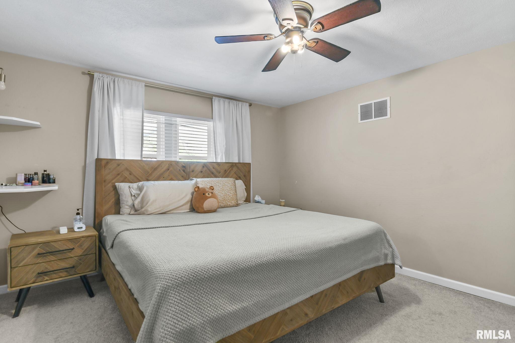 906 North Walnut Street Springfield, IL 62702 - Photo 19 of 29