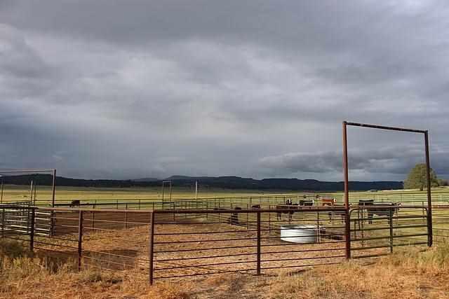 22779 Sprague River Road Chiloquin, OR 97624 - Photo 3 of 23 Additional Photo