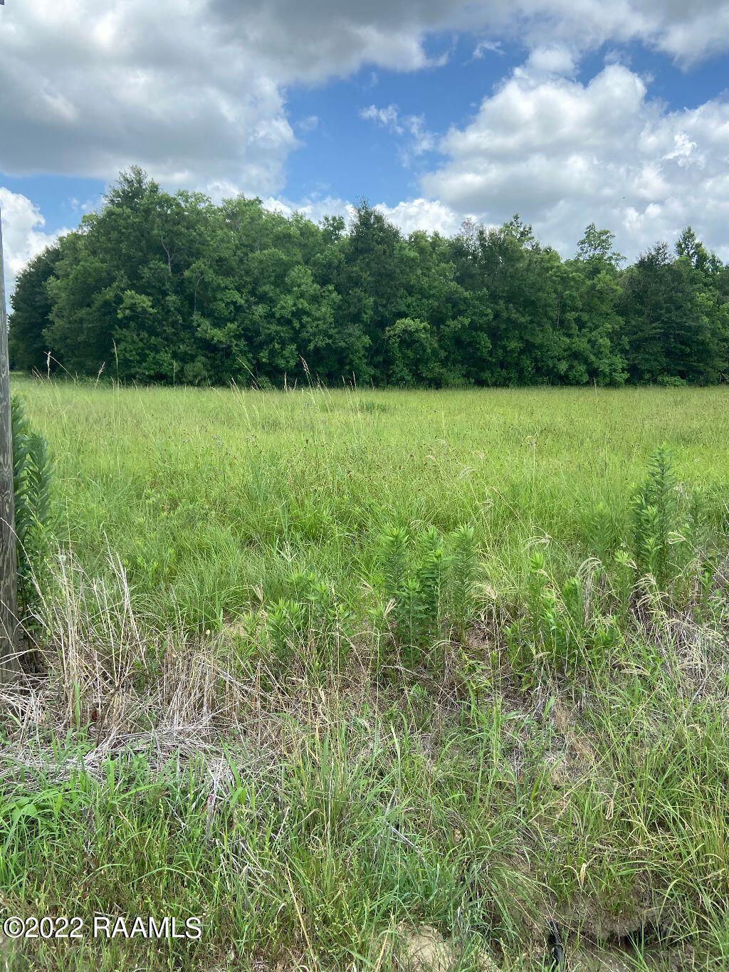 100 Andres Road Scott, LA 70583 - Photo 2 of 2 IMG_1949