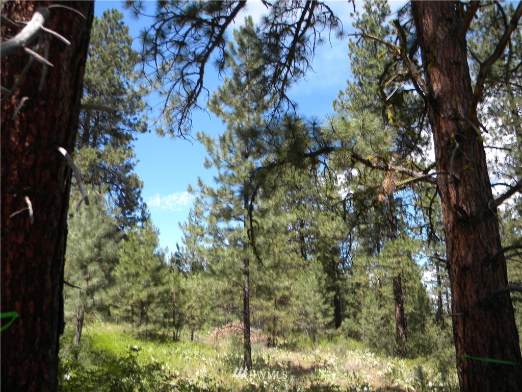 1 South Blackjack Road Winthrop, WA 98862 - Photo 1 of 15 Gallery Image 1