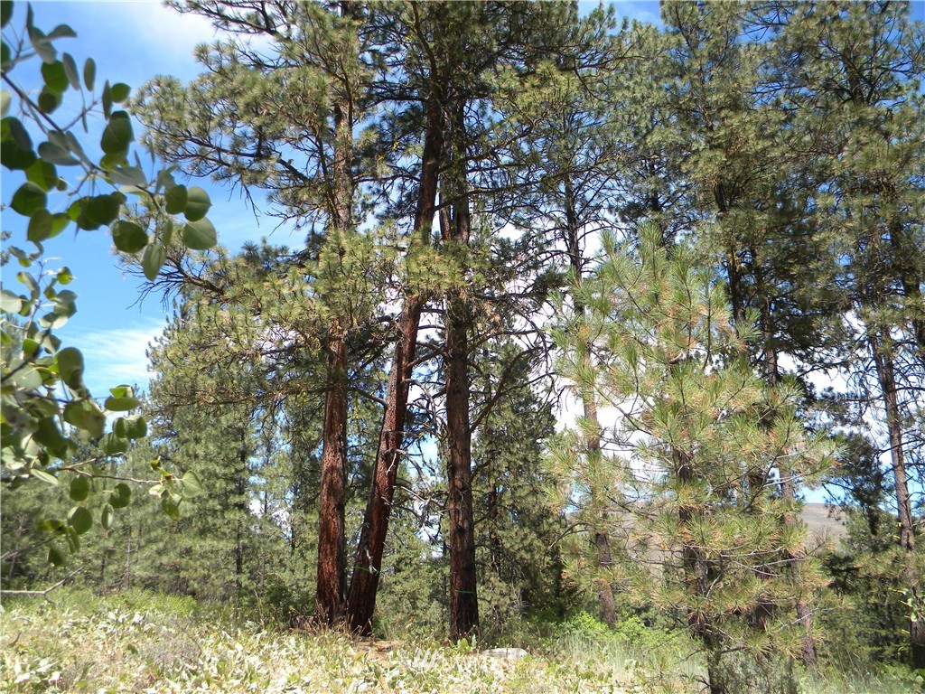 1 South Blackjack Road Winthrop, WA 98862 - Photo 11 of 15 Gallery Image 11