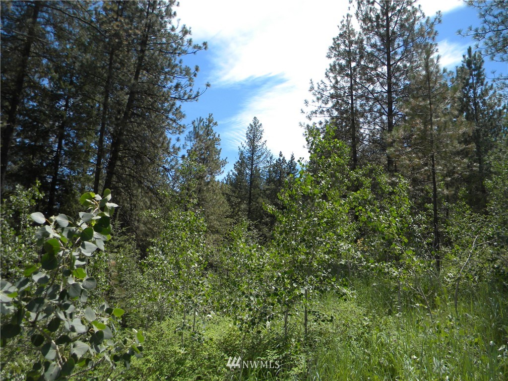 1 South Blackjack Road Winthrop, WA 98862 - Photo 12 of 15 Gallery Image 12