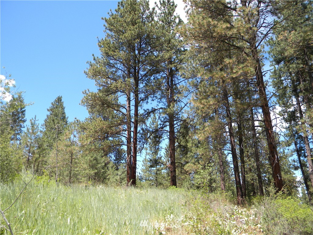 1 South Blackjack Road Winthrop, WA 98862 - Photo 13 of 15 Gallery Image 13