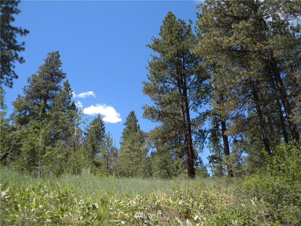1 South Blackjack Road Winthrop, WA 98862 - Photo 14 of 15 Gallery Image 14
