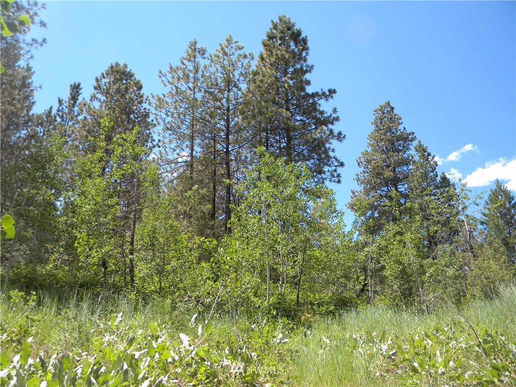 1 South Blackjack Road Winthrop, WA 98862 - Photo 15 of 15 Gallery Image 15