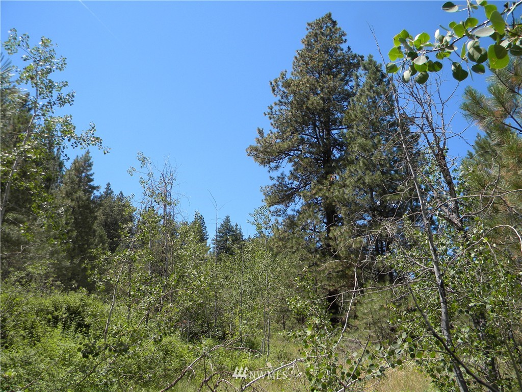 1 South Blackjack Road Winthrop, WA 98862 - Photo 3 of 15 Gallery Image 3