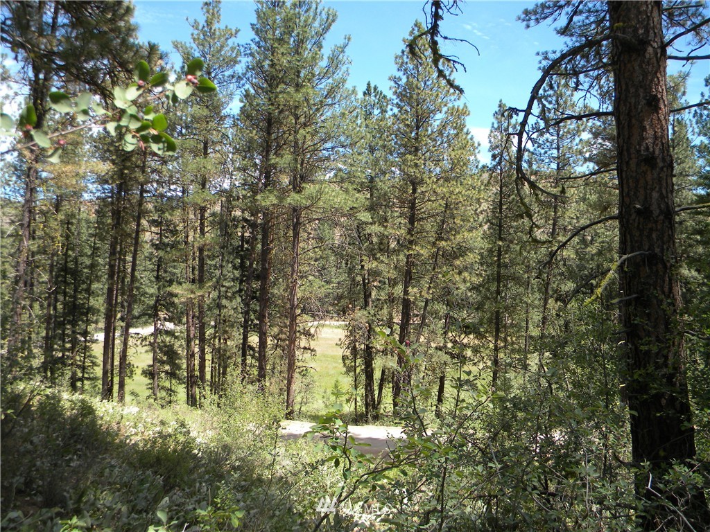 1 South Blackjack Road Winthrop, WA 98862 - Photo 4 of 15 Gallery Image 4