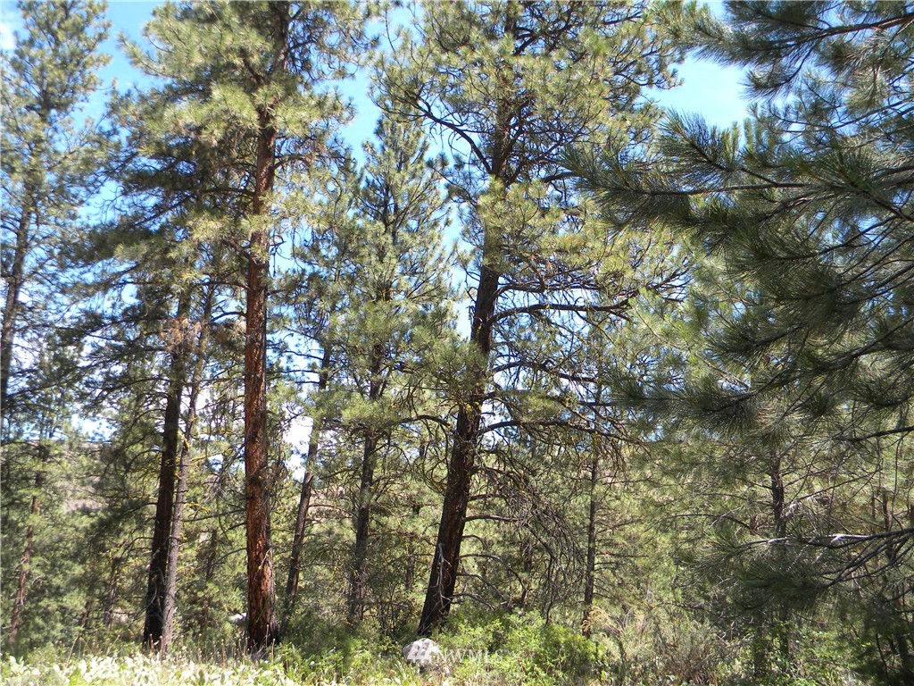 1 South Blackjack Road Winthrop, WA 98862 - Photo 5 of 15 Gallery Image 5