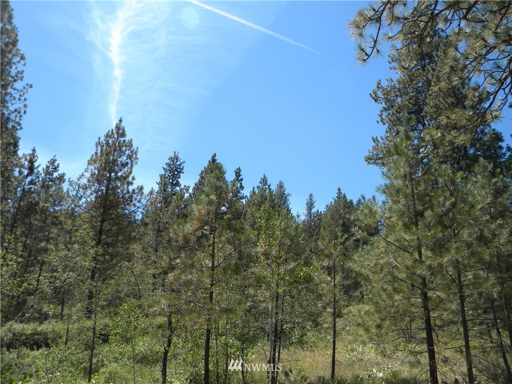 1 South Blackjack Road Winthrop, WA 98862 - Photo 9 of 15 Gallery Image 9