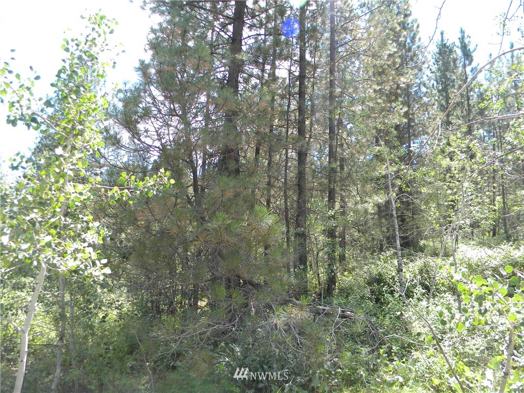 1 South Blackjack Road Winthrop, WA 98862 - Photo 10 of 15 Gallery Image 10