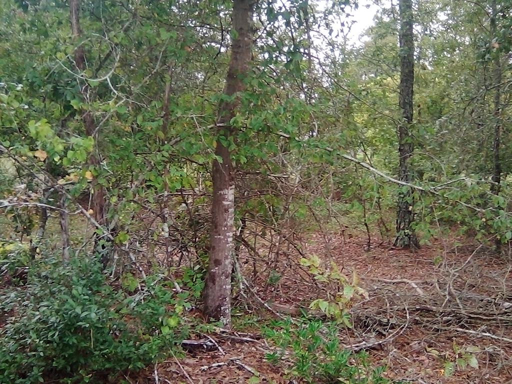 4507 Etterle Road Blythe, GA 30805 - Photo 1 of 7 Main View