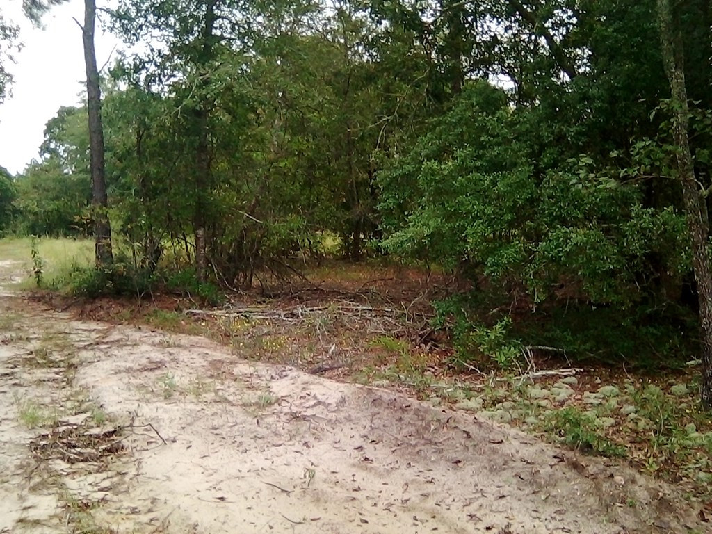 4507 Etterle Road Blythe, GA 30805 - Photo 2 of 7 Gallery Image 2