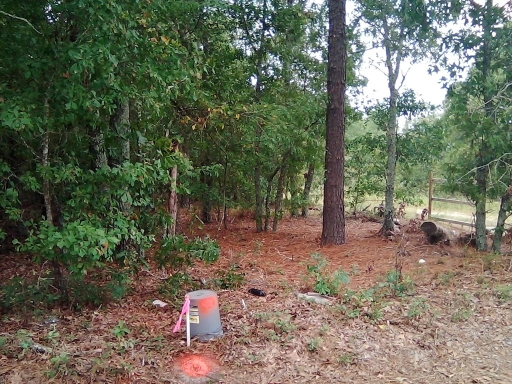 4507 Etterle Road Blythe, GA 30805 - Photo 7 of 7 Gallery Image 7