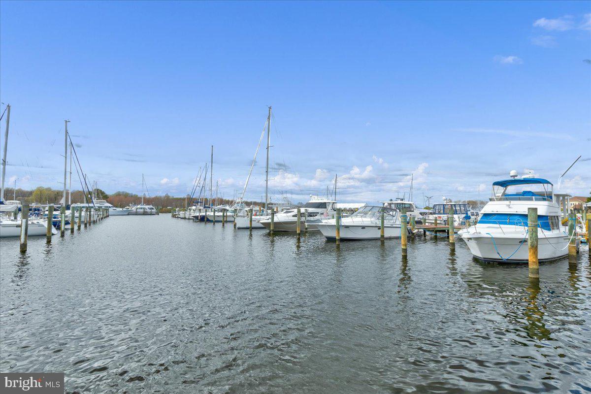 1066 Walnut Avenue North Beach, MD 20714 - Photo 60 of 69