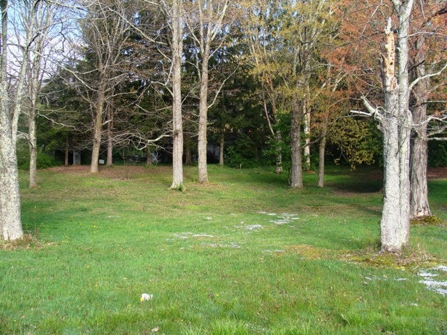 1372 Flat Top Road Shady Spring, WV 25918 - Photo 5 of 19 May 4th Auction, 12 noon Greene Estate