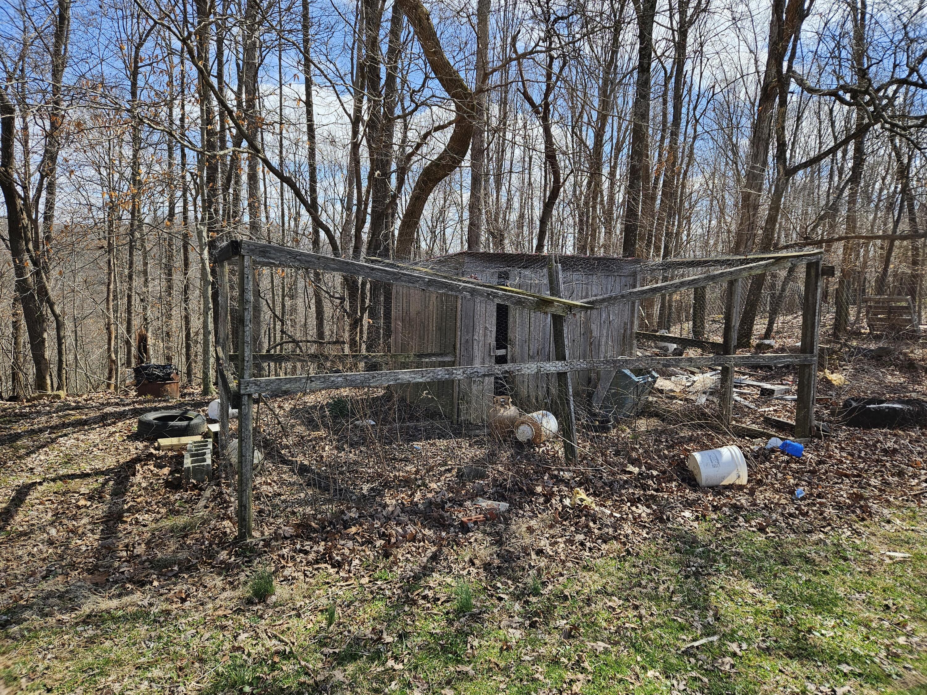 119 Combs Road Dunnville, KY 42528 - Photo 10 of 35 20250317_133436
