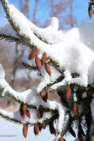 $74,900 | Lot#7 Ridgeview Drive, Battle Creek, MI 49015