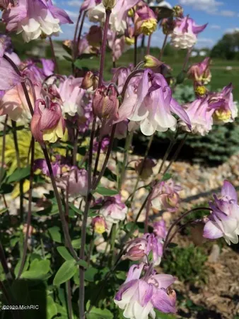 $74,900 | Lot#7 Ridgeview Drive, Battle Creek, MI 49015