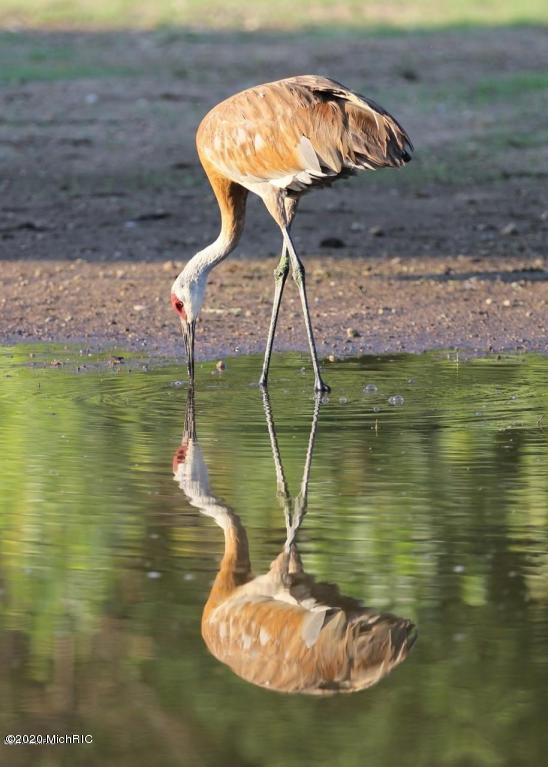 Lot#7 Ridgeview Drive Battle Creek, MI 49015 - Photo 8 of 12 20170406191702706657000000-o