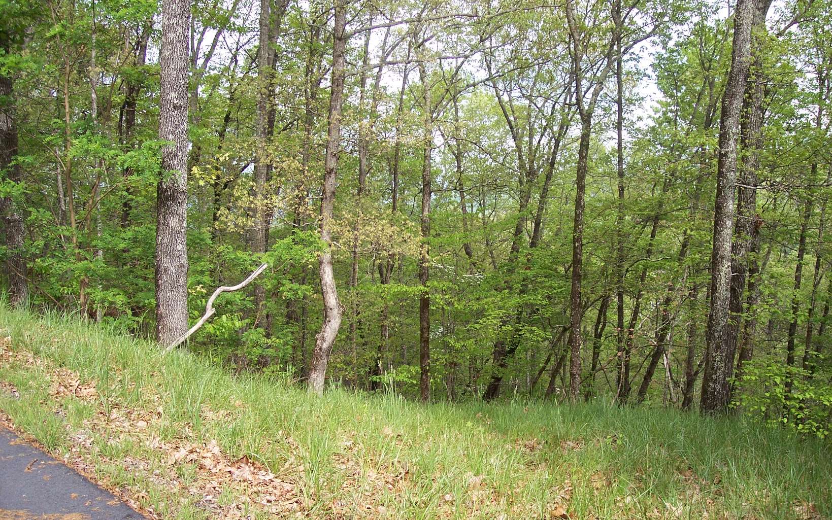 4 Thunder Road Hayesville, NC 28904 - Photo 8 of 9 Additional View