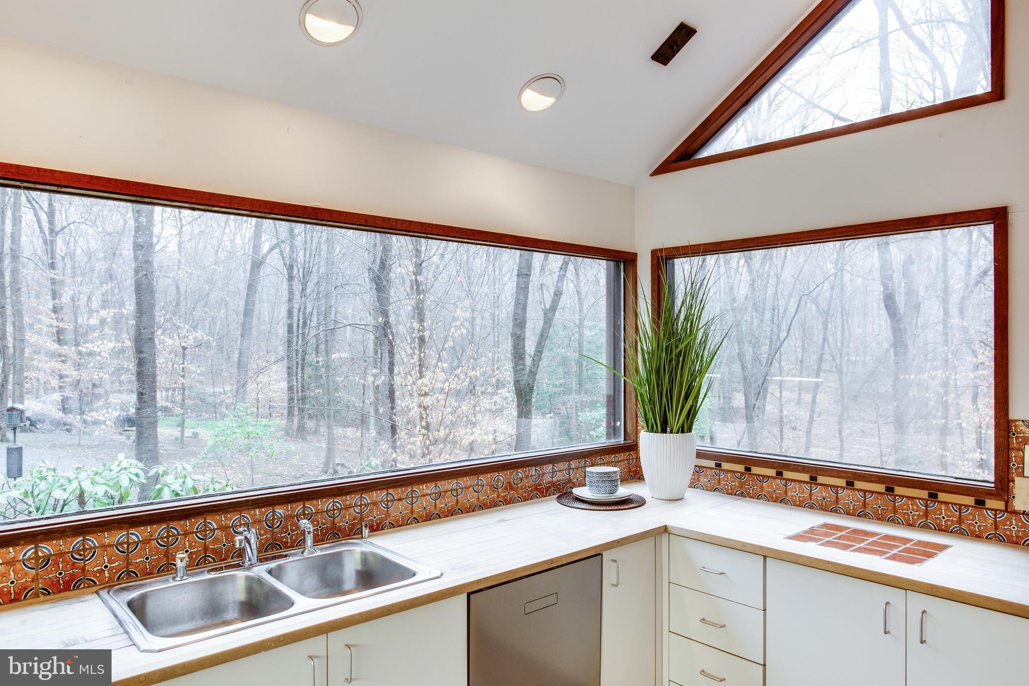 9441 Rabbit Hill Road Great Falls, VA 22066 - Photo 42 of 100