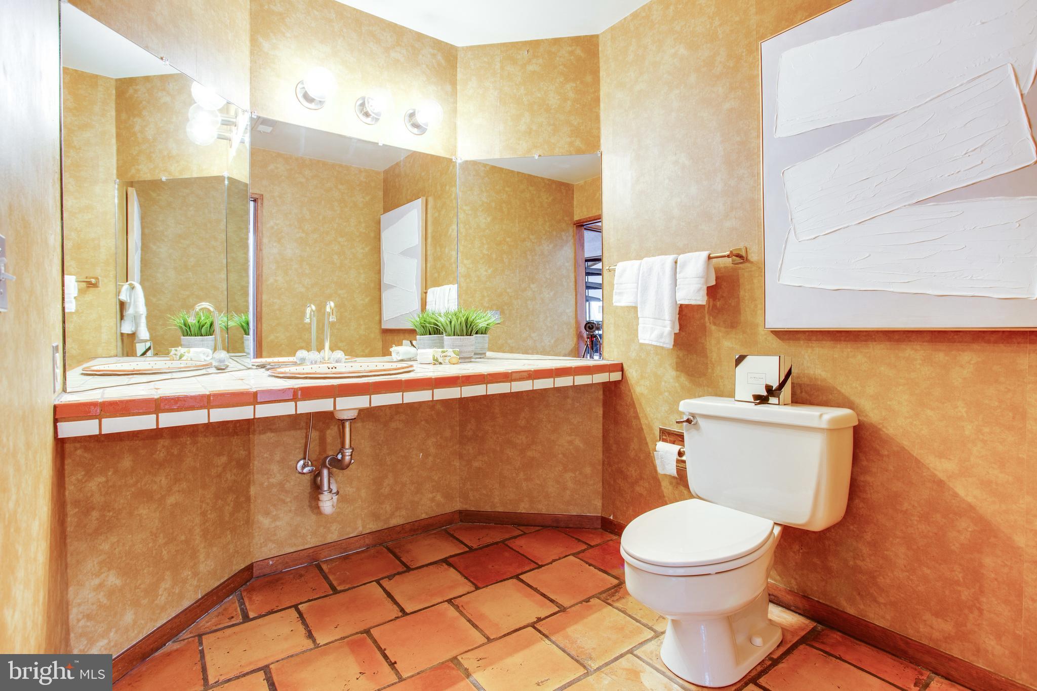 9441 Rabbit Hill Road Great Falls, VA 22066 - Photo 45 of 100