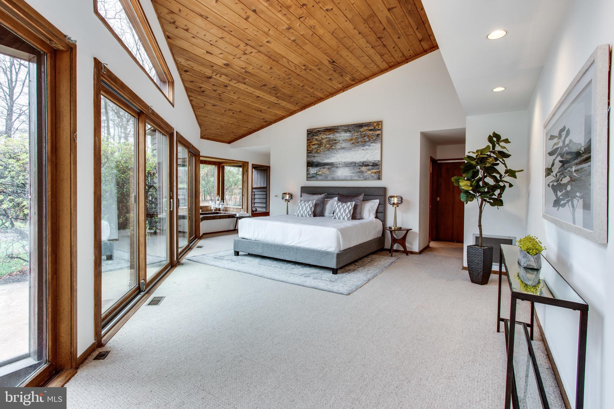 9441 Rabbit Hill Road Great Falls, VA 22066 - Photo 52 of 100