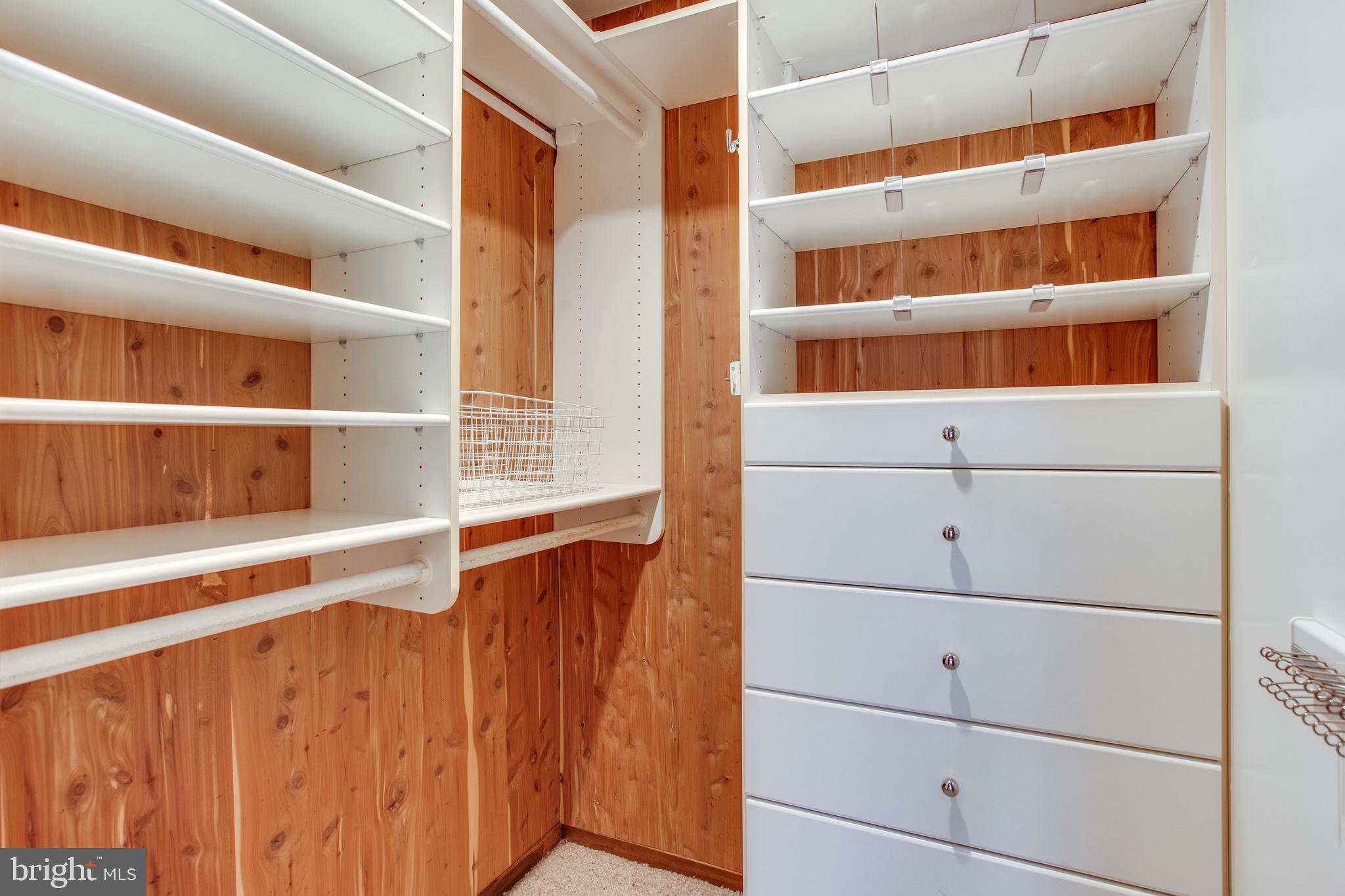 9441 Rabbit Hill Road Great Falls, VA 22066 - Photo 59 of 100